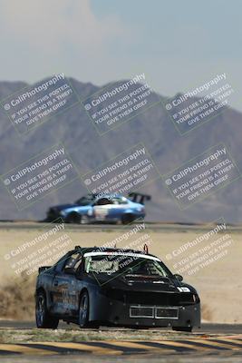 media/Oct-12-2025-Lucky Dog Racing (Sun) [[8adb5568ea]]/3-Third    Stint/4-Turn 4 (Tree of Life)/